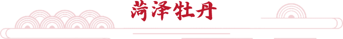 菏泽牡丹